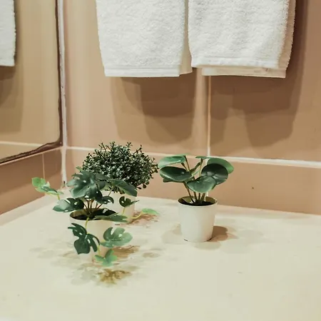 Burguezia Do Leitao 호텔 3*